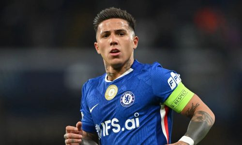 Enzo-Fernandez